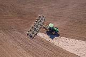 09 Fallow Master Orthman